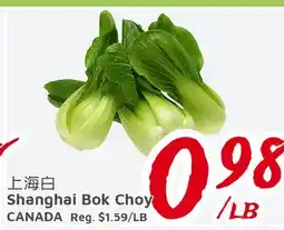 United Supermarket Shanghai Bok Choy offer