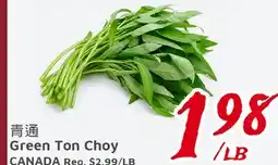 United Supermarket Green Ton Choy offer