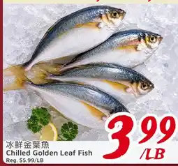 United Supermarket Chilled Golden Leaf Fish offer