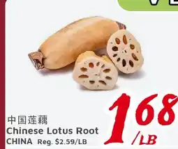 United Supermarket Chinese Lotus Root offer