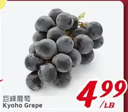 United Supermarket Kyoho Grape offer