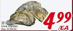 United Supermarket Live Oyster offer