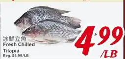 United Supermarket Fresh Chilled Tilapia offer