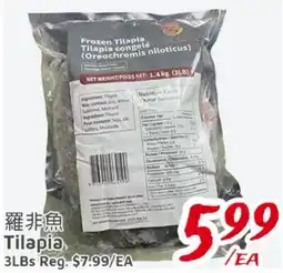 United Supermarket Tilapia offer
