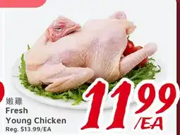 United Supermarket Fresh Young Chicken offer