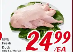 United Supermarket Fresh Duck offer