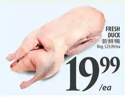 Al Premium Food Mart FRESH DUCK offer