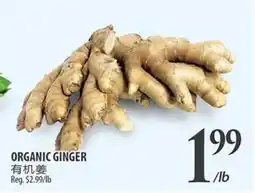 Al Premium Food Mart ORGANIC GINGER offer