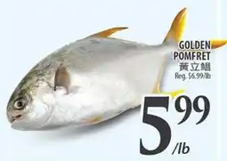 Al Premium Food Mart GOLDEN POMFRET offer