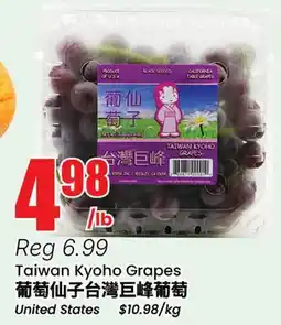 Terra Foodmart Taiwan Kyoho Grapes offer