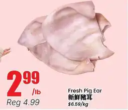 Terra Foodmart Fresh Pig Ear offer