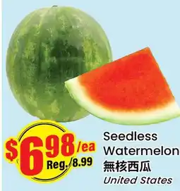 Terra Foodmart Seedless Watermelon offer