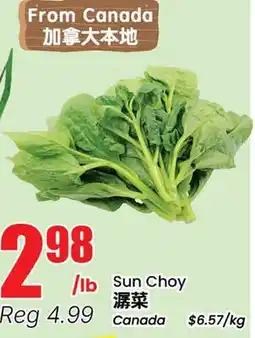 Terra Foodmart Sun Choy offer