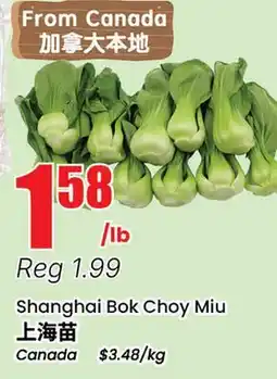 Terra Foodmart Shanghai Bok Choy Miu offer