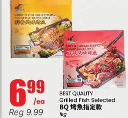 Terra Foodmart BEST QUALITY Grilled Fish Selected offer