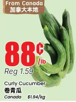 Terra Foodmart Curly Cucumber offer