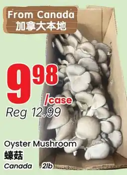 Terra Foodmart Oyster Mushroom offer