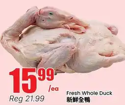 Terra Foodmart Fresh Whole Duck offer