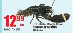 Terra Foodmart Live Lobster (Single Claw) offer