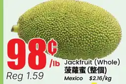 Terra Foodmart Jackfruit (Whole) offer