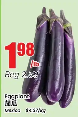 Terra Foodmart Eggplant offer