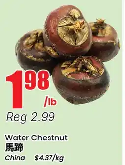 Terra Foodmart Water Chestnut offer