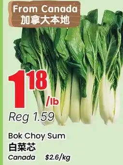 Terra Foodmart Bok Choy Sum offer