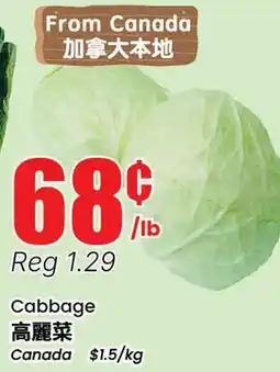 Terra Foodmart Cabbage offer
