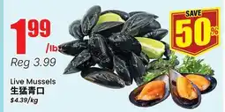 Terra Foodmart Live Mussels offer