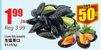 Terra Foodmart Live Mussels offer