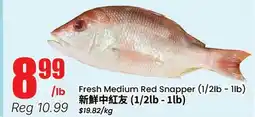 Terra Foodmart Fresh Medium Red Snapper offer
