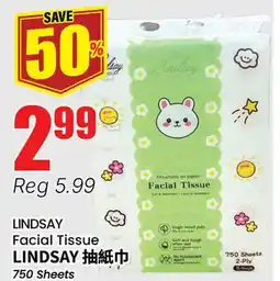 Terra Foodmart LINDSAY Facial Tissue offer