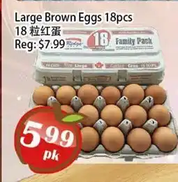 Food Depot Supermarket Large Brown Eggs 18pcs offer