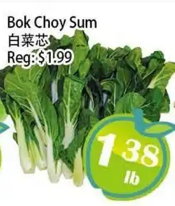Food Depot Supermarket Bok Choy Sum offer
