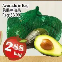 Food Depot Supermarket Avocado in Bag offer