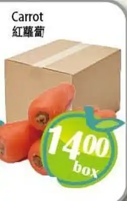 Food Depot Supermarket Carrot offer