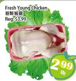 Food Depot Supermarket Fresh Young Chicken offer