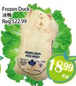 Food Depot Supermarket Frozen Duck offer
