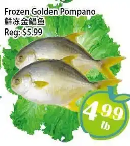 Food Depot Supermarket Frozen Golden Pompano offer