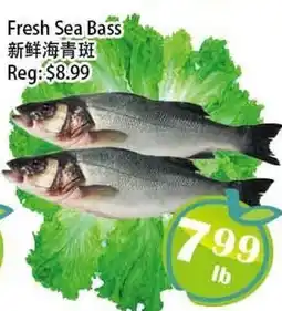 Food Depot Supermarket Fresh Sea Bass offer