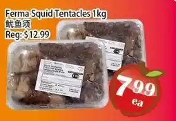 Food Depot Supermarket Ferma Squid Tentacles offer