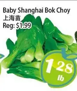 Food Depot Supermarket Baby Shanghai Bok Choy offer