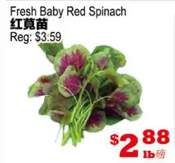 Yuan Ming Supermarket Fresh Baby Red Spinach offer