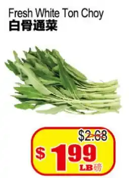 Yuan Ming Supermarket Fresh White Ton Choy offer