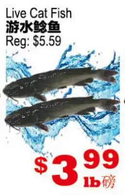 Yuan Ming Supermarket Live Cat Fish offer