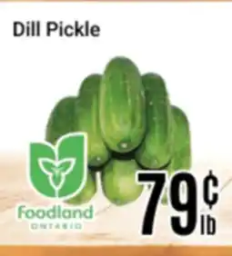 Nations Fresh Foods Dill Pickle offer