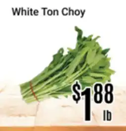 Nations Fresh Foods White Ton Choy offer