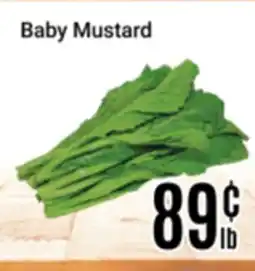 Nations Fresh Foods Baby Mustard offer