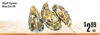 Nations Fresh Foods Shell Oyster offer