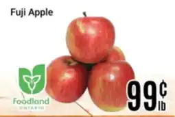 Nations Fresh Foods Fuji Apple offer